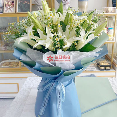 鄂尔多斯8支白色多头百合洋甘菊，互倾的思念
