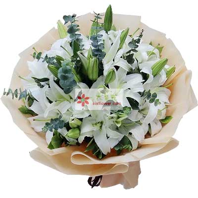 鄂尔多斯9支白色多头百合，祝福你幸福